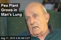 Pea Plant Grows in Man's Lung