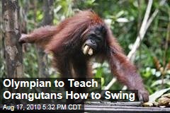 Olympian to Teach Orangutans How to Swing