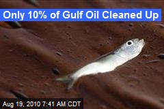 Only 10% of Gulf Oil Cleaned Up