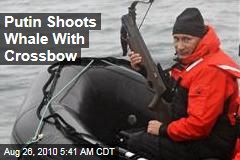 Putin Shoots Whale With Crossbow