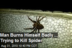 Man Badly Burns Himself Trying to Kill Spider