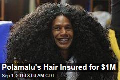 Polamalu's Hair Insured for $1M