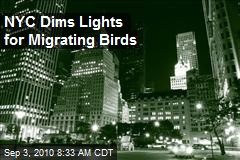 NYC Dims Lights for Migrating Birds